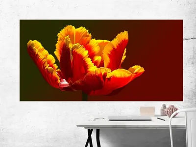 Яркий цветок 68 см, 3D попугай, тюльпан, Реалистичный искусственный цветок  для вечеринки в честь Дня Рождения | AliExpress