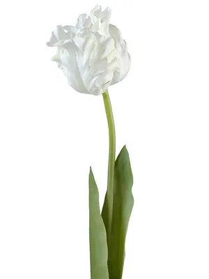 Шелковый цветок, подарок невесты, искусственный цветок, свадебный букет,  украшение стола, искусственный попугай, тюльпан – лучшие товары в  онлайн-магазине Джум Гик