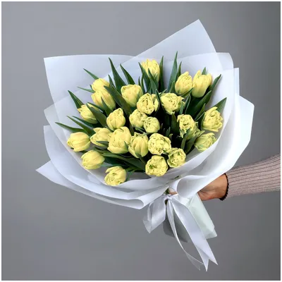 Тюльпан пионовидный \"Ду Верона\", лимонный - цена, купить цветы упаковками с  доставкой в Москве - магазин ПРОСТОЦВЕТЫ