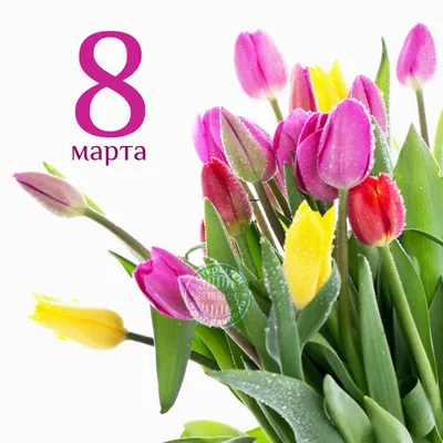 Тюльпаны на 8 Марта открытки, поздравления на cards.tochka.net