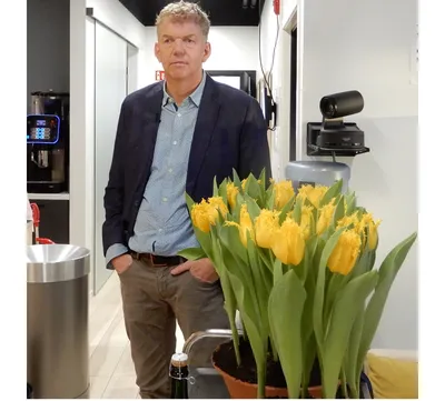 Фестиваль тюльпанов в Нидерландах: когда, где и куда ехать смотреть тюльпаны  в 2024
