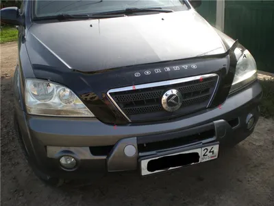 KNAKU814BAA002813, 2010 Kia Sorento R on Auction Wini