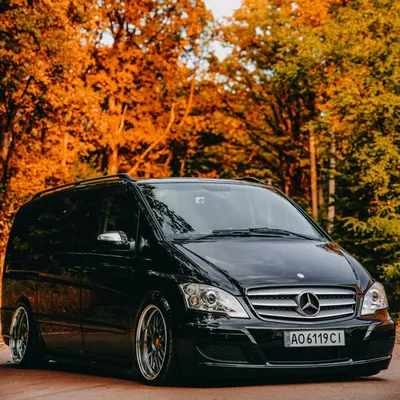 Аэродинамический обвес WALD Black Bison для Mercedes Viano W639