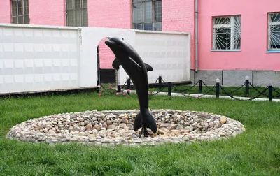 Черный Дельфин» — самая страшная тюрьма России. - YouTube