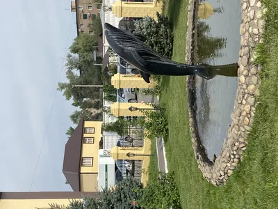 Чёрный дельфин» - одна из самых страшных тюрем страны: о заключенных из  Краснодарского края