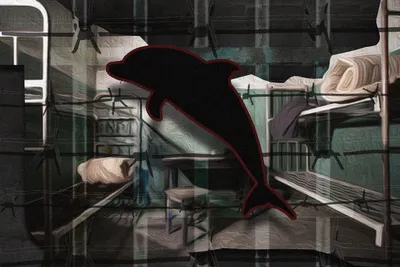 Тюрьма \"Черный дельфин\" - Российская газета