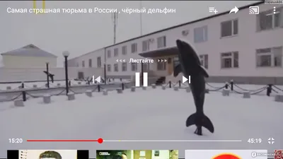 Ответ на пост «\"Черный дельфин\". Самая строгая тюрьма России, из которой  существует только один выход» | Пикабу
