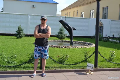 Чёрный дельфин, жанровая скульптура, Оренбургская область, Соль-Илецк,  Советская улица — Яндекс Карты