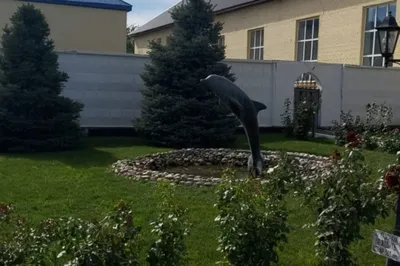 Черный дельфин\" и \"Полярная сова\". Что известно о российских колониях  особого режима, в одну из которых этапируют Алексея Навального