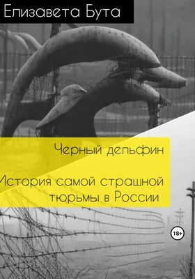 Маленькое государство «Черный дельфин». В ИК-6 рассказали о новых  производствах и «звездных» осужденных - KP.RU