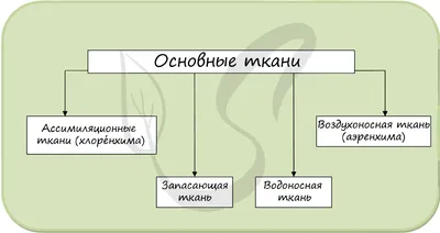 ᐈ【ПОСТАВЩИКИ ОБИВОЧНЫХ ТКАНЕЙ】✓ | ᐈ Перетяжка мягкой мебели