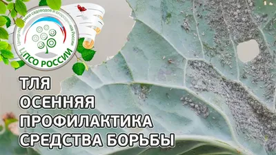 Тля - Good Harvest | Семена | Удобрения | Средства защиты растений