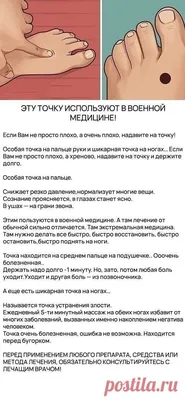 Врач раскрыла способ избавиться от красных точек на ногах после бритья:  Внешний вид: Ценности: Lenta.ru