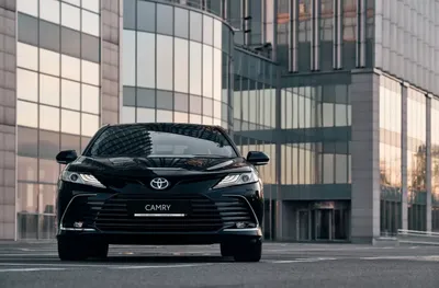 Купить Тойота Камри, цена у официального дилера на TOYOTA CAMRY 2024 в  Украине - Тойота Центр Киев ВИДИ Автострада