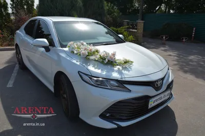 Аренда Toyota Camry v70 с Водителем в Новосибирске на Свадьбу: Белая с  Серым Салоном — StarCars54.ru