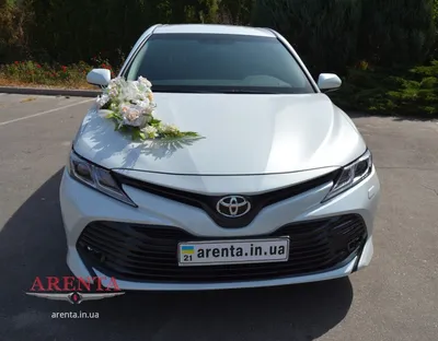 Toyota Camry (XV50) 2.5 бензиновый 2015 | Белый перламутр на DRIVE2