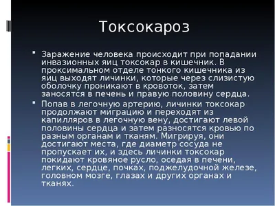 Пар. Тениоз. Токсокароз. + | Портал радиологов