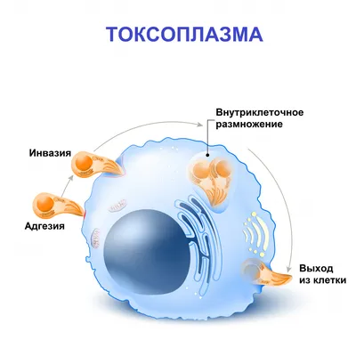 Катаракта у детей