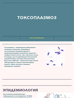 Презентация на тему: \"Токсоплазмоз Токсоплазмоз - паразитарное заболевание  человека, вызываемый внутриклеточно паразитирующим простейшим Toxoplasma  gondii, характеризующееся.\". Скачать бесплатно и без регистрации.