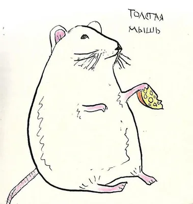 Иллюстрация Толстая мышь в стиле lifestyle | Illustrators.ru