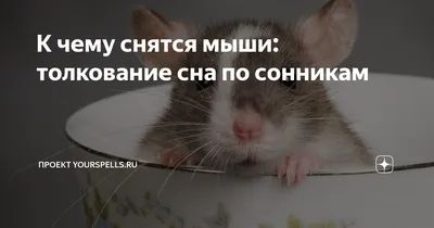Купить мышь MANNS толстая 10,5 г цв. белый в интернет магазине BigGame.ru в  Москве