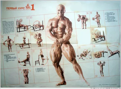 Том Платц (Tom Platz), фотографии, биография, соревнования, бодибилдинг