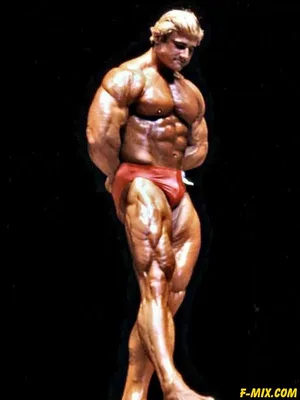 Том Платц / Tom Platz - Страница 17 - ЗВЕЗДЫ БОДИБИЛДИНГА - МУЖЧИНЫ -  ЖЕЛЕЗНЫЙ ФАКТОР