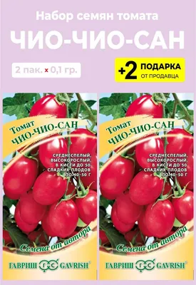 Томат Чио Чио Сан: описание сорта, ОТЗЫВЫ (42), фото, урожайность |  tomatland.ru