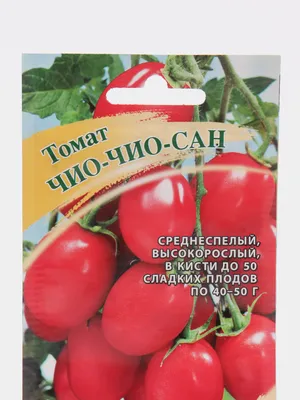 Томат Чио-чио-сан оранжевый, серия Юбилейный 0,15 г (большой пакет) -  ГАВРИШ ГК