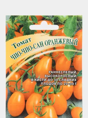 ТОМАТ ЧИО ЧИО САН - ЗАСУХО И БОЛЕЗНЕУСТОЙЧИВЫЙ МЕЛКОПЛОДНЫЙ  ИНДЕТЕРМИНАНТНЫЙ СОРТ - YouTube