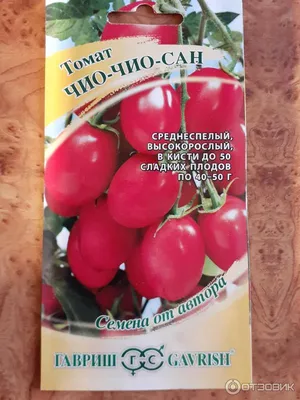 Томат Чио-Чио-Сан, 0,1г Семена от автора от 35 руб. в Москве. Звоните!