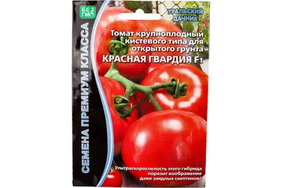 Томат Монгольский Карлик 20 шт. купить оптом в Томске по цене 40,8 руб.