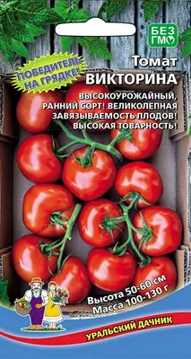 Томаты, созревающие за 70 дней, для посева сразу в грунт | уДачный проект |  Дзен