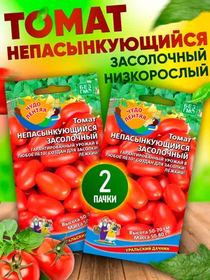 Томаты Уральский дачник Томат оконный - купить по выгодным ценам в  интернет-магазине OZON (1185892533)