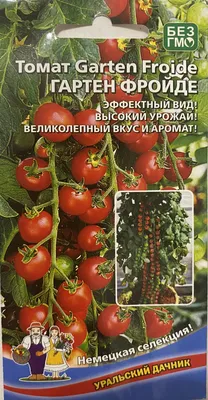 Уральский Дачник Семена томатов непасынкующийся Засолочный открытого грунта