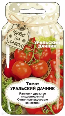 Томаты Уральский дачник Томат - купить по выгодным ценам в  интернет-магазине OZON (1200763322)