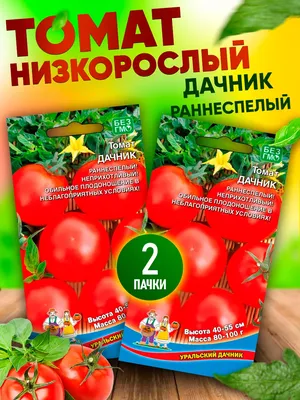 Томат Хлеб да Соль 20 шт ЦП Уральскиий Дачник — купить в Вологде в  СтройОптТорг: выбирайте в каталоге с ценами, характеристиками, фото.