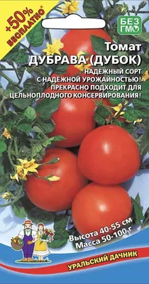 Рассада томата РОСТОК Дачник E6 — цена в Балакове, купить в  интернет-магазине, характеристики и отзывы, фото