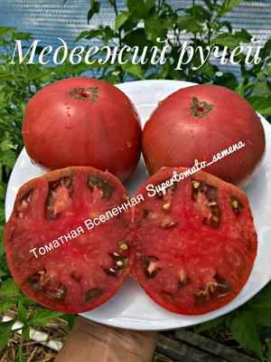 Томат Грушовка 30 шт. НК ЭЛИТ: продажа, цена в Киеве. Семена и рассада  овощных культур от \"Сучасна Дача — семена овощей, семена цветов, средства  защиты растений, капельный полив, инструмент\" - 1741010647