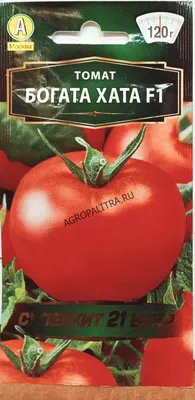 СУПЕРКЛУША томат для открытого грунта и теплиц Обзор сорта и мои  впечатления | Любимая усадьба | Дзен