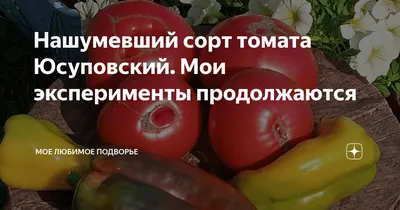 Томаты Семь Семян Томат - купить по выгодным ценам в интернет-магазине OZON  (808736819)