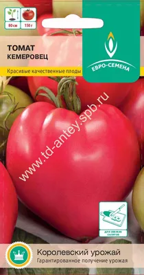 Томат \"Кемеровец\", семена купить по цене 52 ₽ в интернет-магазине  KazanExpress