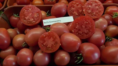 Семена Томат Кемеровец, ОГ - купить по выгодной цене | Урожайка