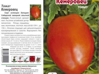 Семена томат Агрос Кемеровец 27927 1 уп. - купить в Москве, цены на  Мегамаркет