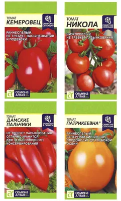 5 лучших сортов томатов в этом сезоне: какой дал помидоры по 600 г в  открытом грунте | уДачный проект | Дзен
