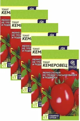 Томат Кемеровец – вкусные малино-розовые плоды