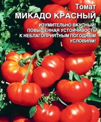 Томат Микадо розовый 30 семян (Элитный Ряд) Семена томата | Интернет  магазин Агро-Качество