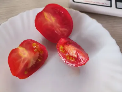 Пасхальное яйцо - П — сорта томатов - tomat-pomidor.com - отзывы на форуме  | каталог