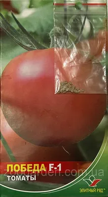 Советские сорта томатов, которые и сейчас не теряют своей актуальности |  Дачная фанатка | Дзен