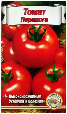 Наши семейные сорта - Страница 3 - Сорта томатов - tomat-pomidor.com - форум
